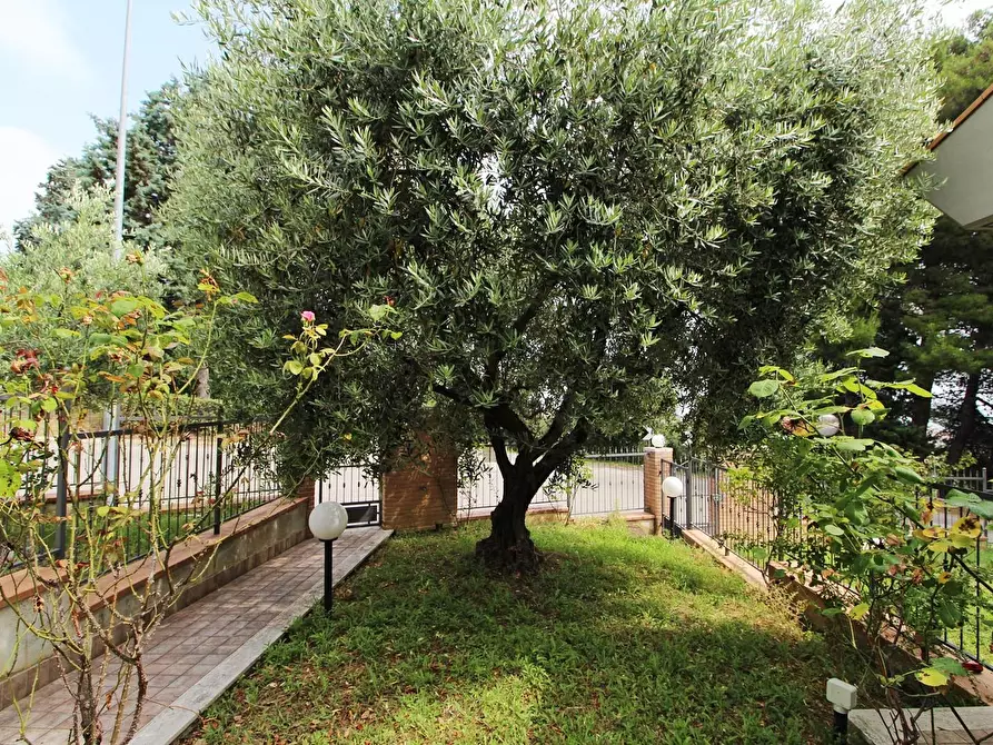 Immagine 7 di Villetta a schiera in vendita  in Via Panoramica a San Benedetto Del Tronto