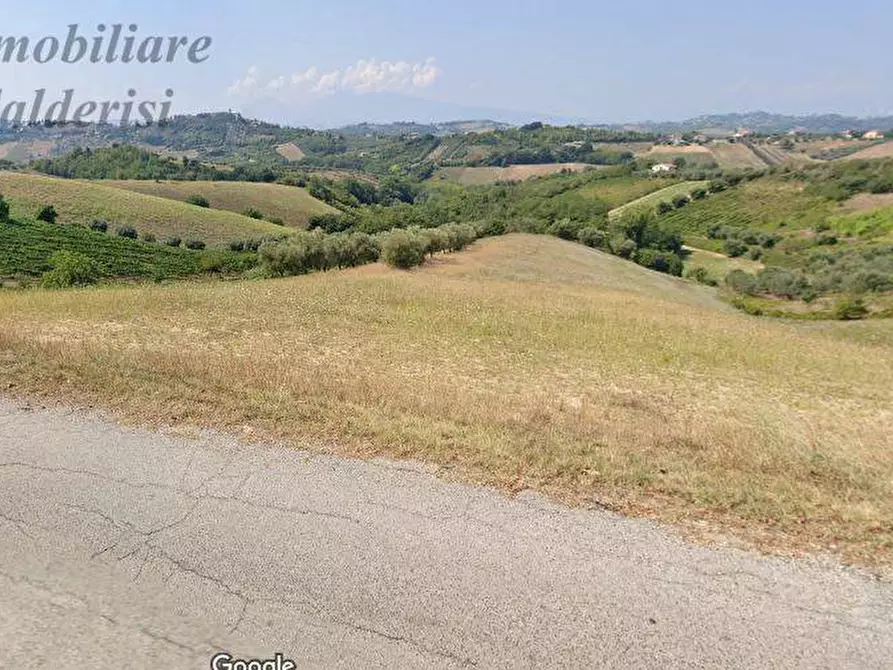 Immagine 1 di Terreno agricolo in vendita  a Monsampolo Del Tronto