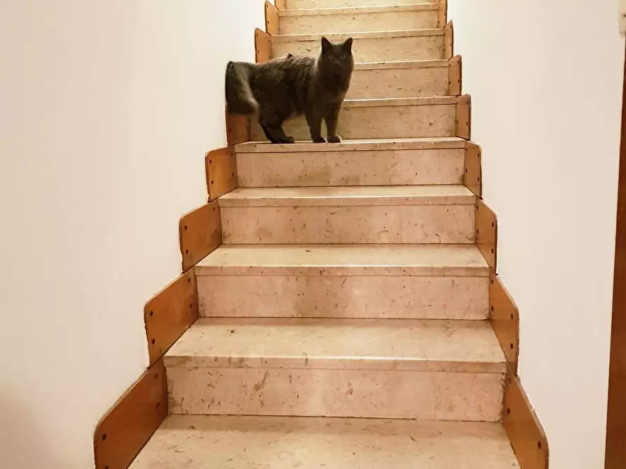 Immagine 25 di Appartamento in vendita  in via Ponzella a Busto Arsizio