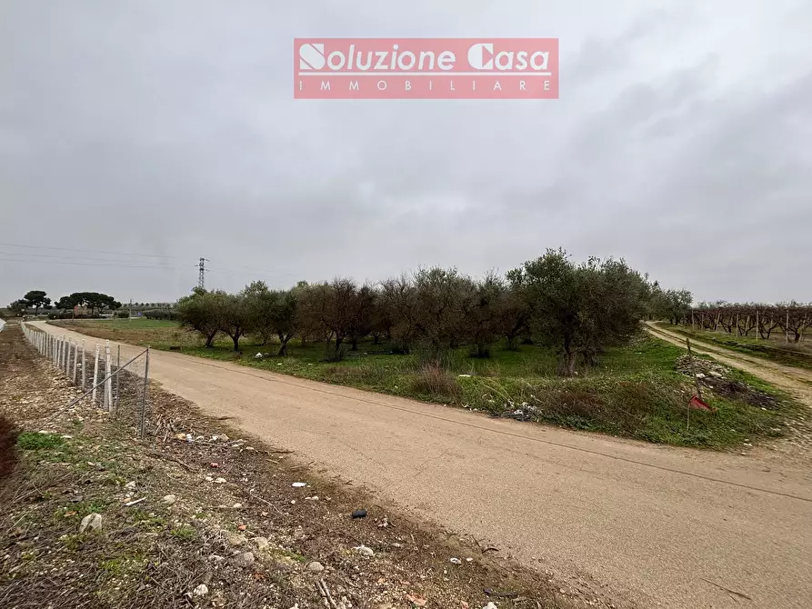 Immagine 5 di Terreno agricolo in vendita  in Strada Provinciale 3 a Canosa Di Puglia