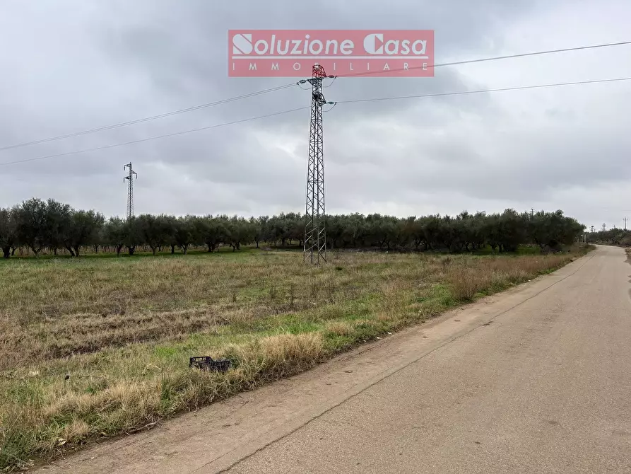 Immagine 3 di Terreno agricolo in vendita  in Strada Provinciale 3 a Canosa Di Puglia