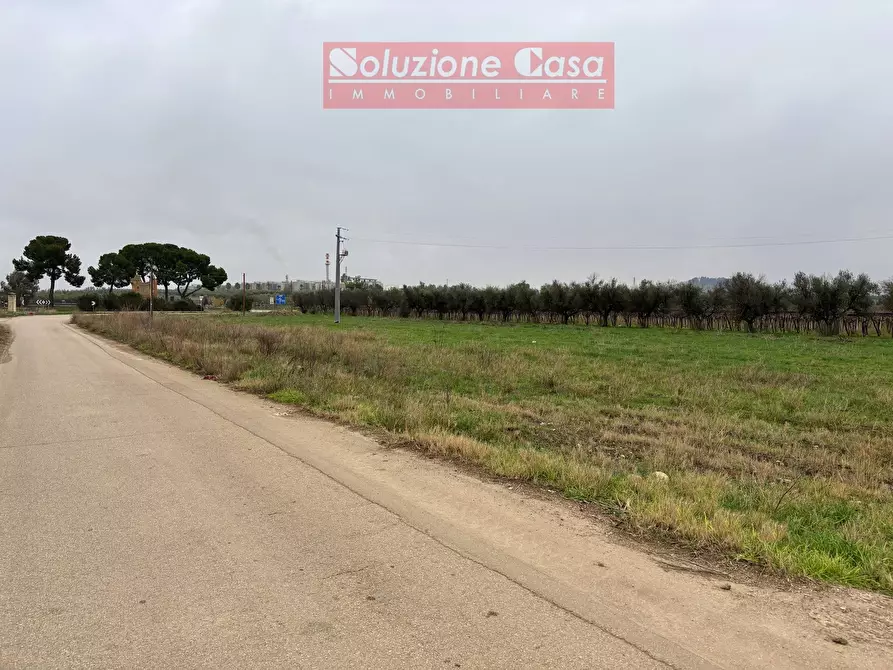 Immagine 2 di Terreno agricolo in vendita  in Strada Provinciale 3 a Canosa Di Puglia