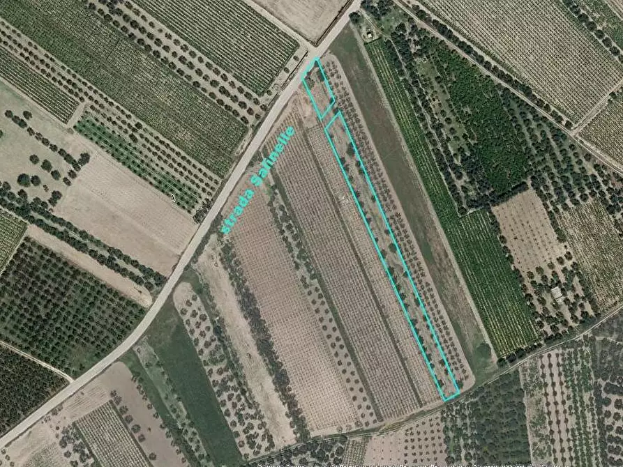 Immagine 5 di Terreno agricolo in vendita  in Contrada Pozzillo a Canosa Di Puglia