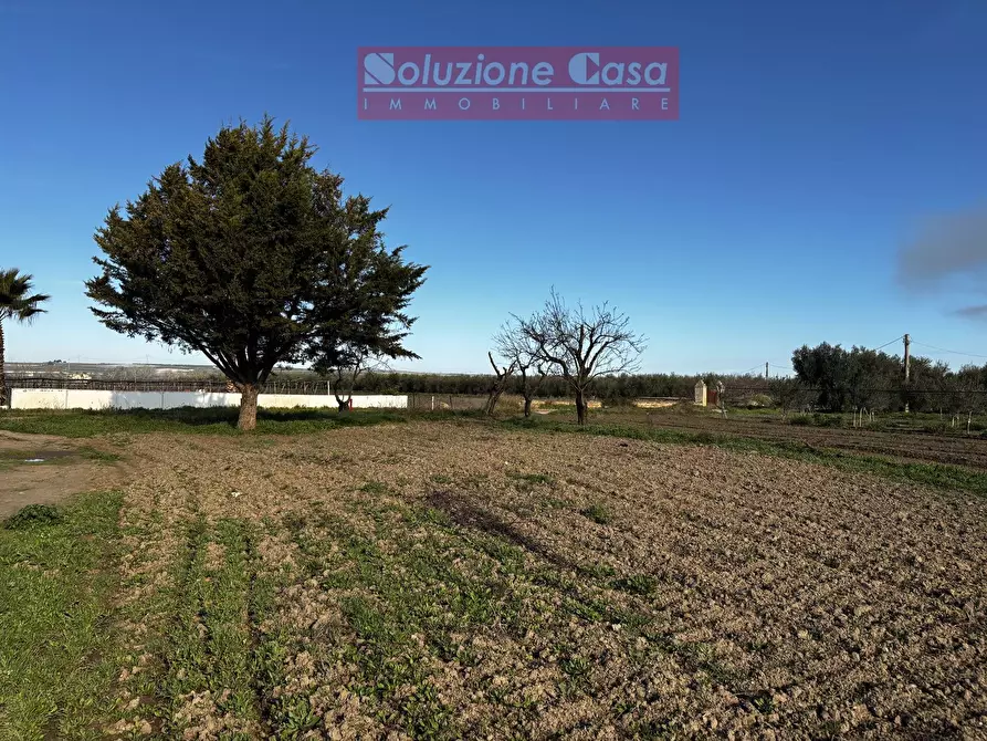 Immagine 3 di Terreno agricolo in vendita  in Contrada Pozzillo a Canosa Di Puglia