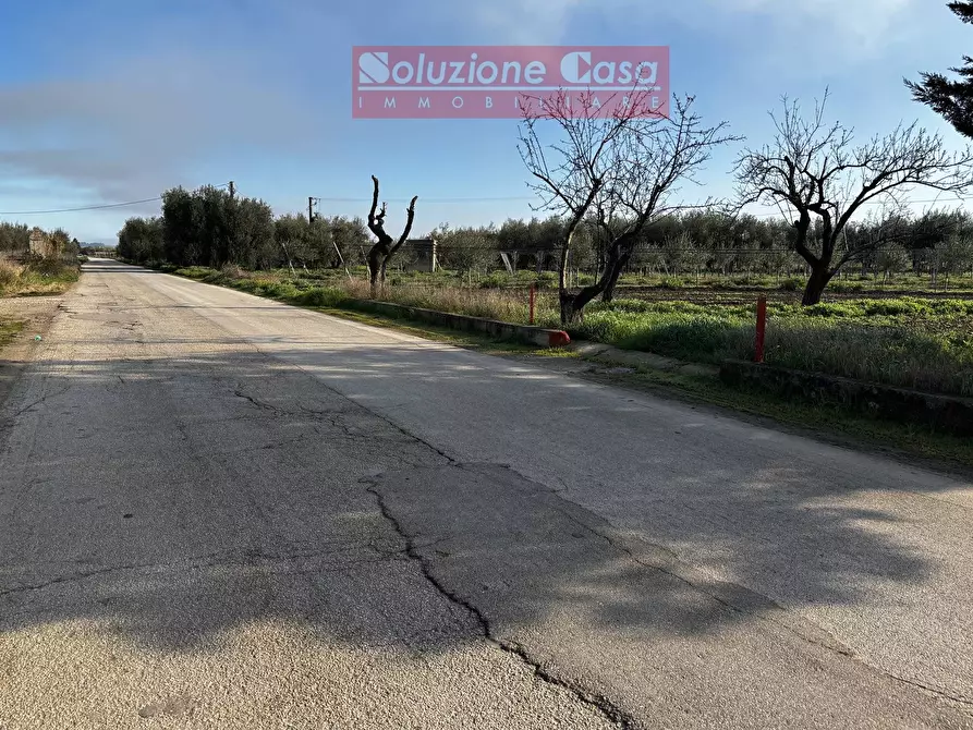 Immagine 4 di Terreno agricolo in vendita  in Contrada Pozzillo a Canosa Di Puglia
