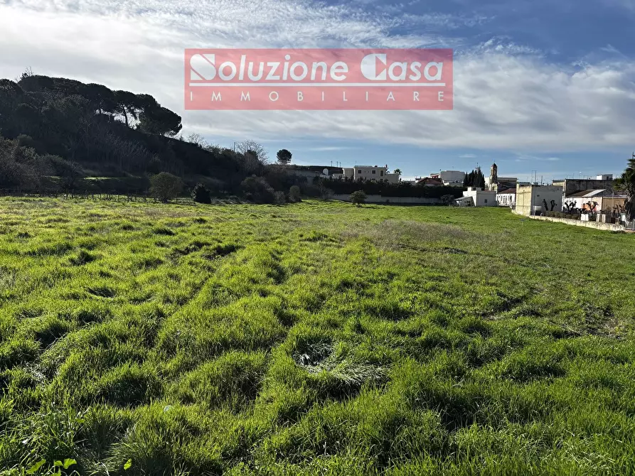 Immagine 2 di Terreno agricolo in vendita  in via Roosevelt a Canosa Di Puglia