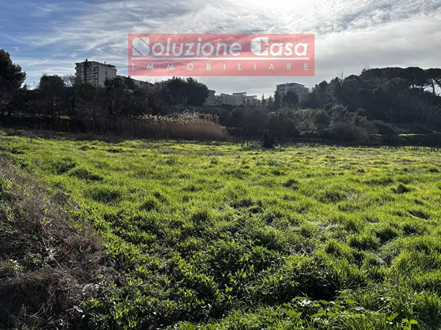 Immagine 3 di Terreno agricolo in vendita  in via Roosevelt a Canosa Di Puglia