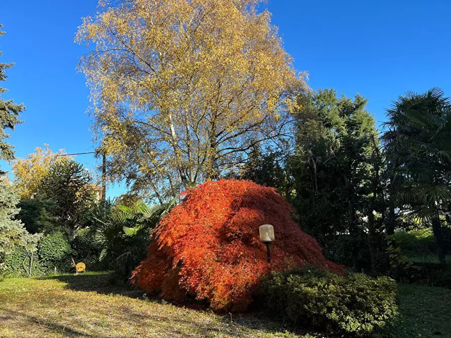 Immagine 22 di Appartamento in vendita  in Via Zara a Fagnano Olona