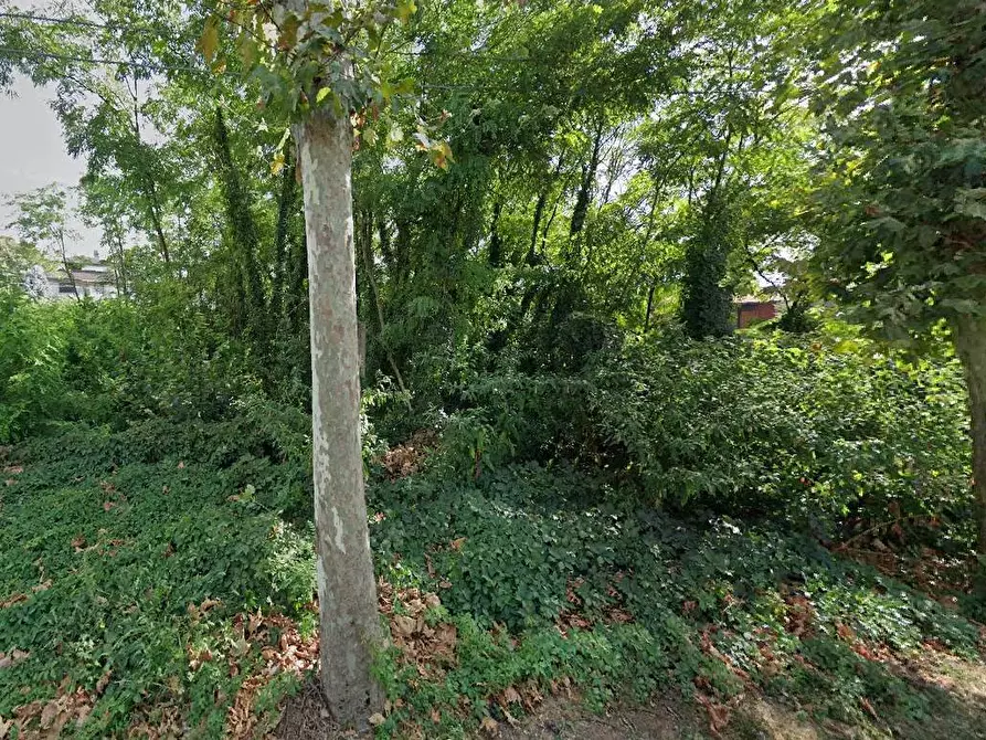 Immagine 3 di Terreno residenziale in vendita  in Viale Toscana a Busto Arsizio