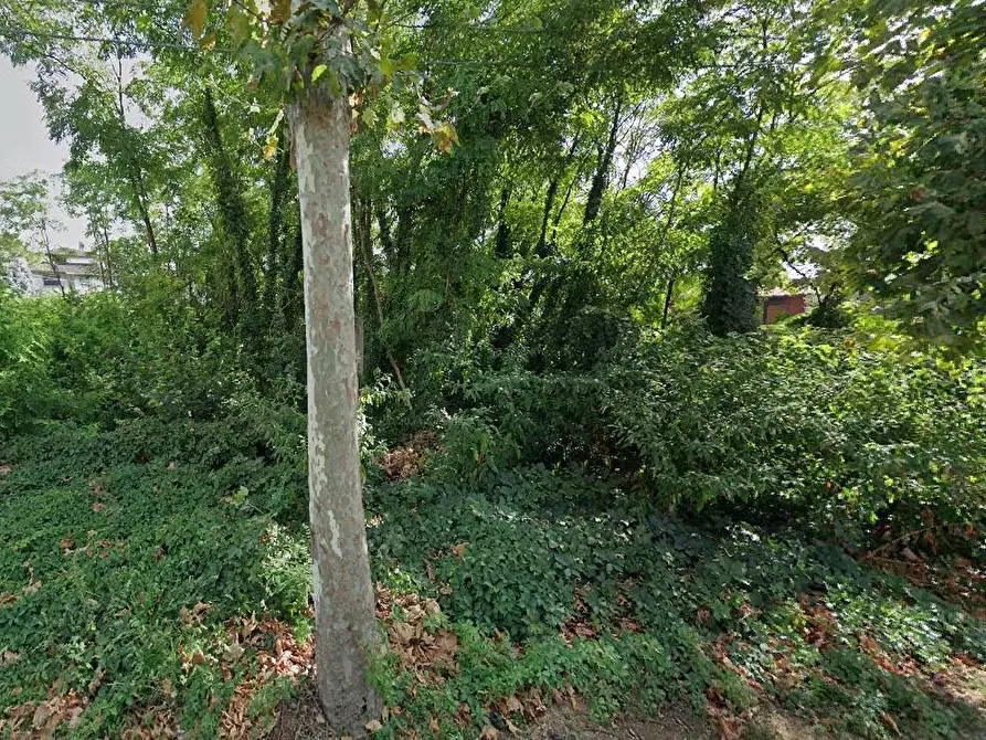 Immagine 4 di Terreno residenziale in vendita  in Viale Toscana a Busto Arsizio