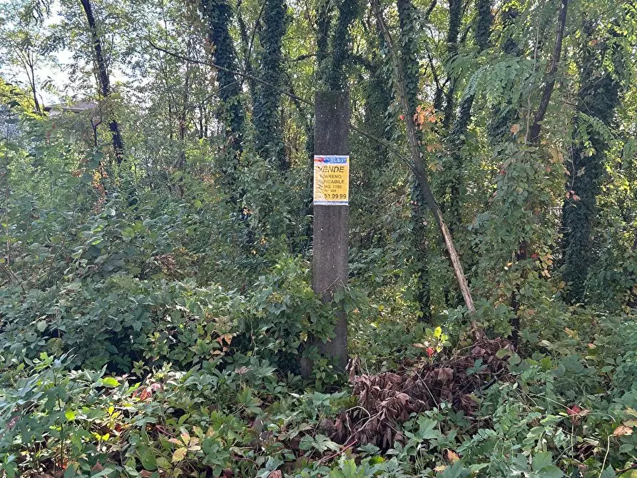 Immagine 7 di Terreno residenziale in vendita  in Viale Toscana a Busto Arsizio