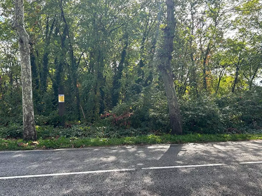 Immagine 8 di Terreno residenziale in vendita  in Viale Toscana a Busto Arsizio