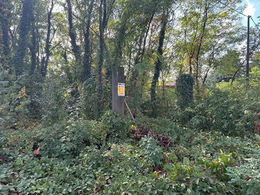 Immagine 9 di Terreno residenziale in vendita  in Viale Toscana a Busto Arsizio