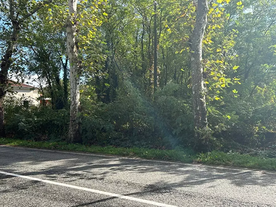 Immagine 10 di Terreno residenziale in vendita  in Viale Toscana a Busto Arsizio