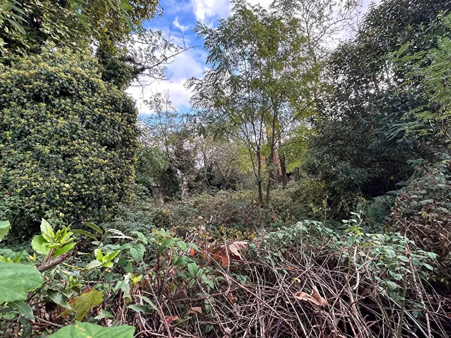 Immagine 22 di Terreno residenziale in vendita  in Viale Toscana a Busto Arsizio