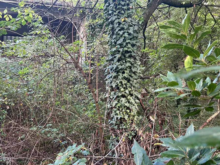 Immagine 23 di Terreno residenziale in vendita  in Viale Toscana a Busto Arsizio