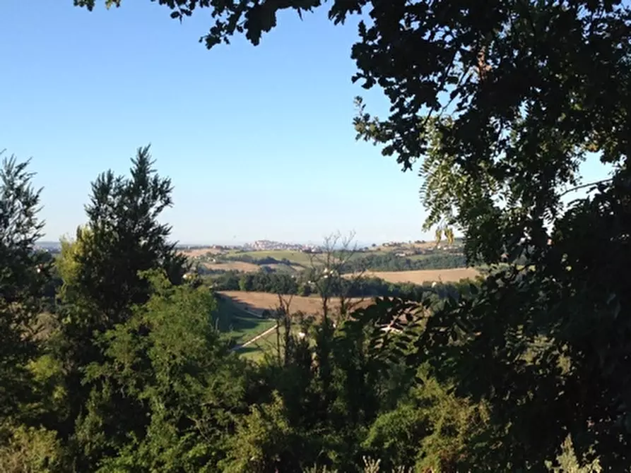 Immagine 5 di Terreno residenziale in vendita  in madonna del popolo a Montegiorgio