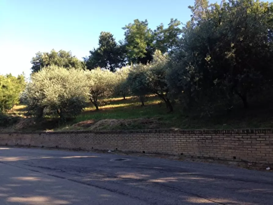 Immagine 3 di Terreno residenziale in vendita  in madonna del popolo a Montegiorgio