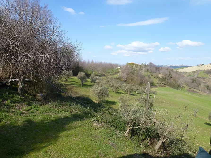 Immagine 18 di Casa indipendente in vendita  in c.da bore a Falerone