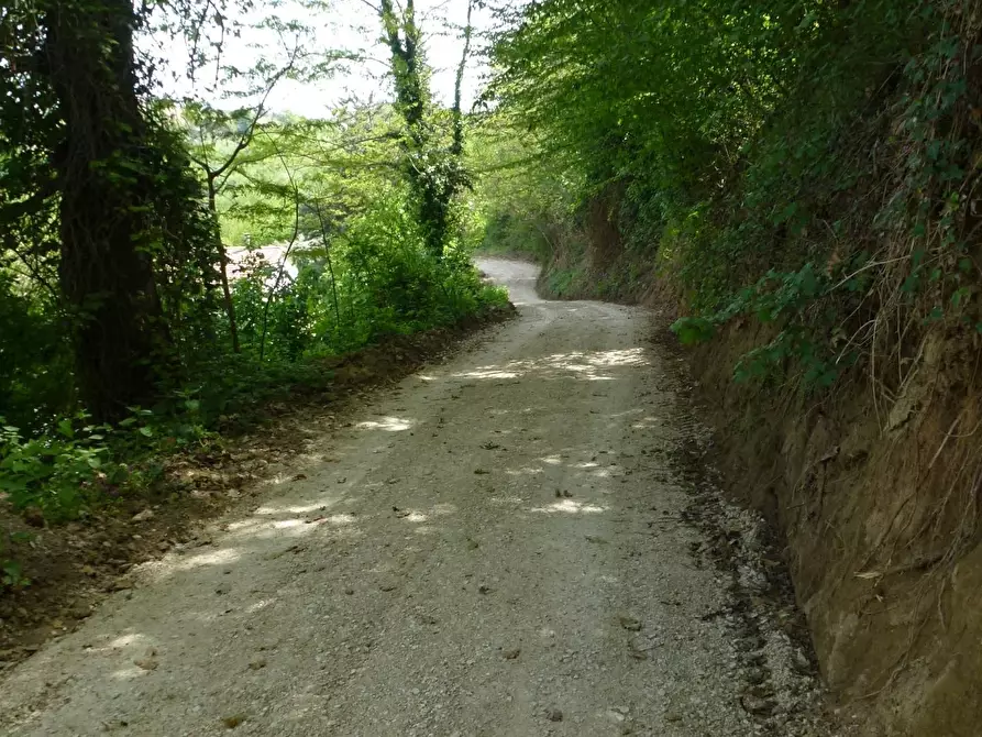 Immagine 22 di Casa indipendente in vendita  in c.da bore a Falerone