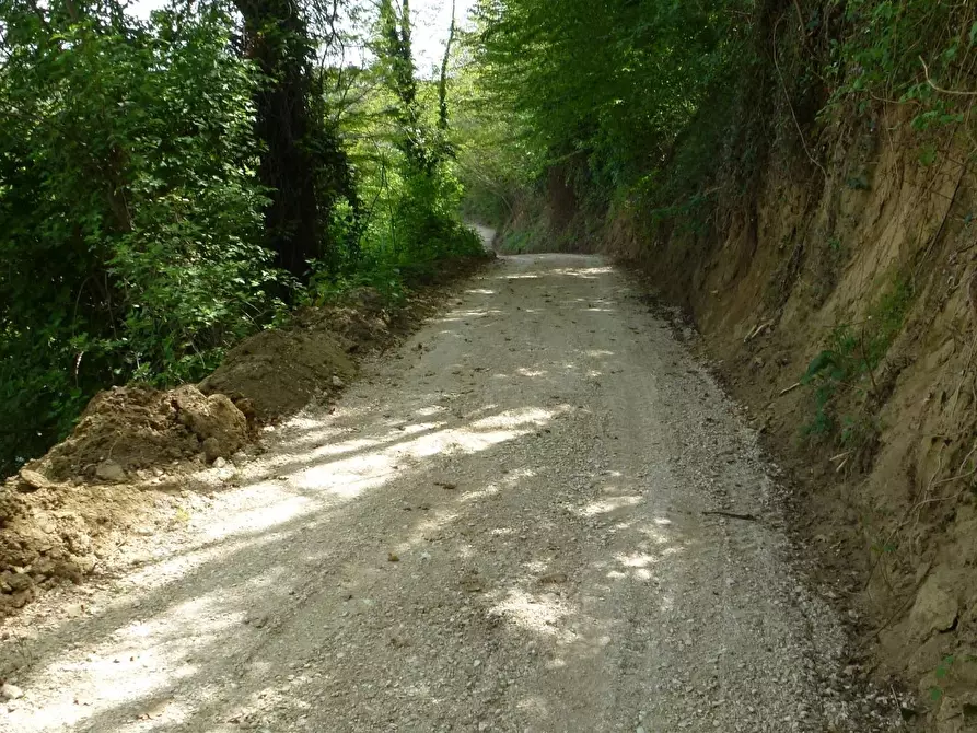 Immagine 23 di Casa indipendente in vendita  in c.da bore a Falerone