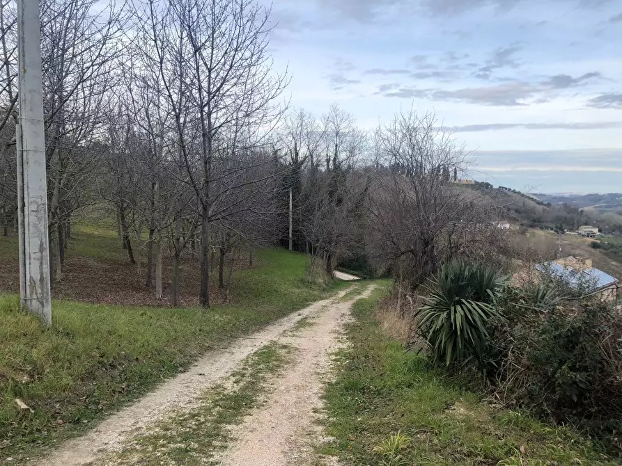 Immagine 5 di Casa indipendente in vendita  in contrada Fonte Magna a Montottone