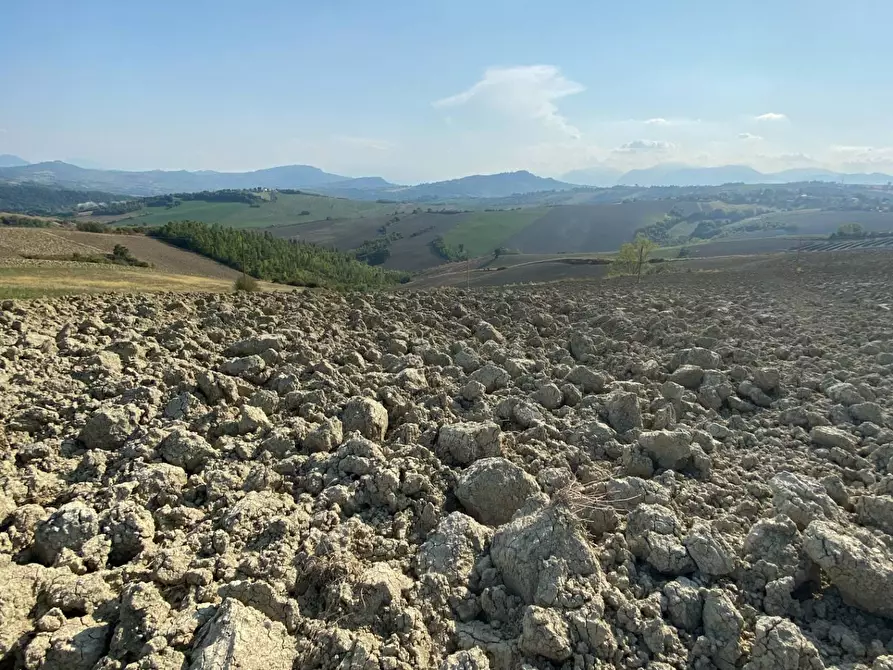 Immagine 3 di Terreno agricolo in vendita  in Via Faleriense a Monte a Falerone