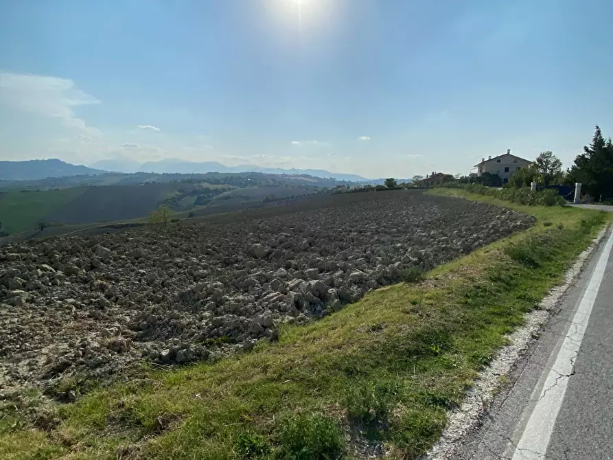 Immagine 4 di Terreno agricolo in vendita  in Via Faleriense a Monte a Falerone