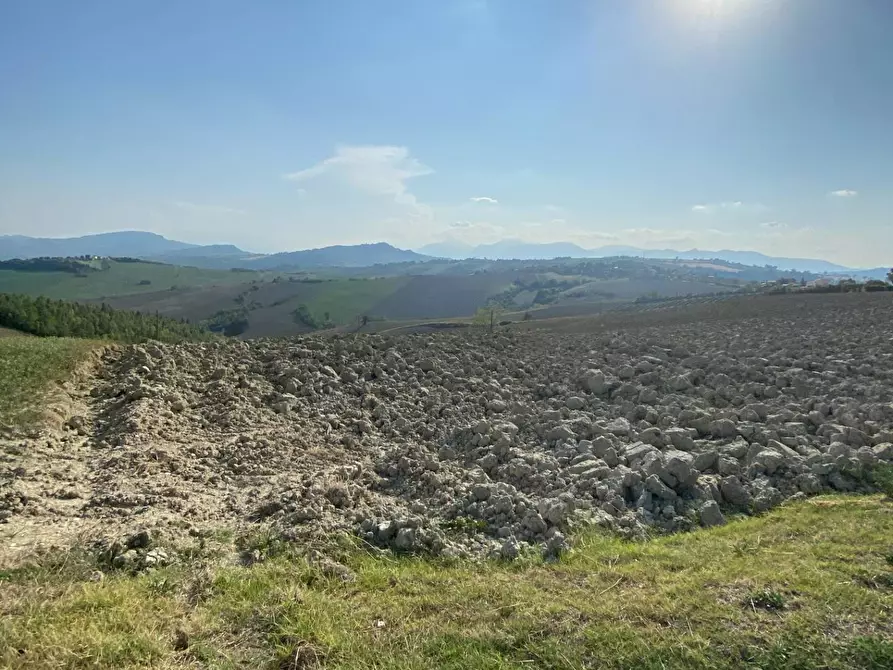Immagine 5 di Terreno agricolo in vendita  in Via Faleriense a Monte a Falerone