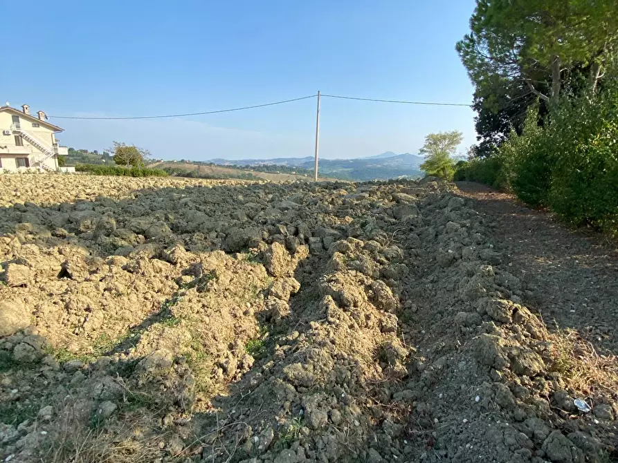 Immagine 6 di Terreno agricolo in vendita  in Via Faleriense a Monte a Falerone