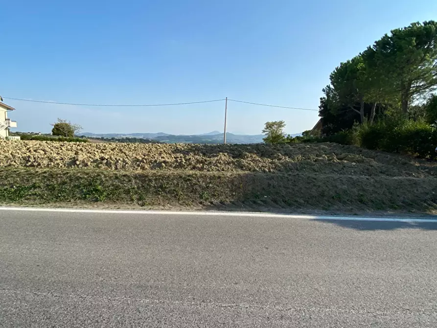 Immagine 7 di Terreno agricolo in vendita  in Via Faleriense a Monte a Falerone