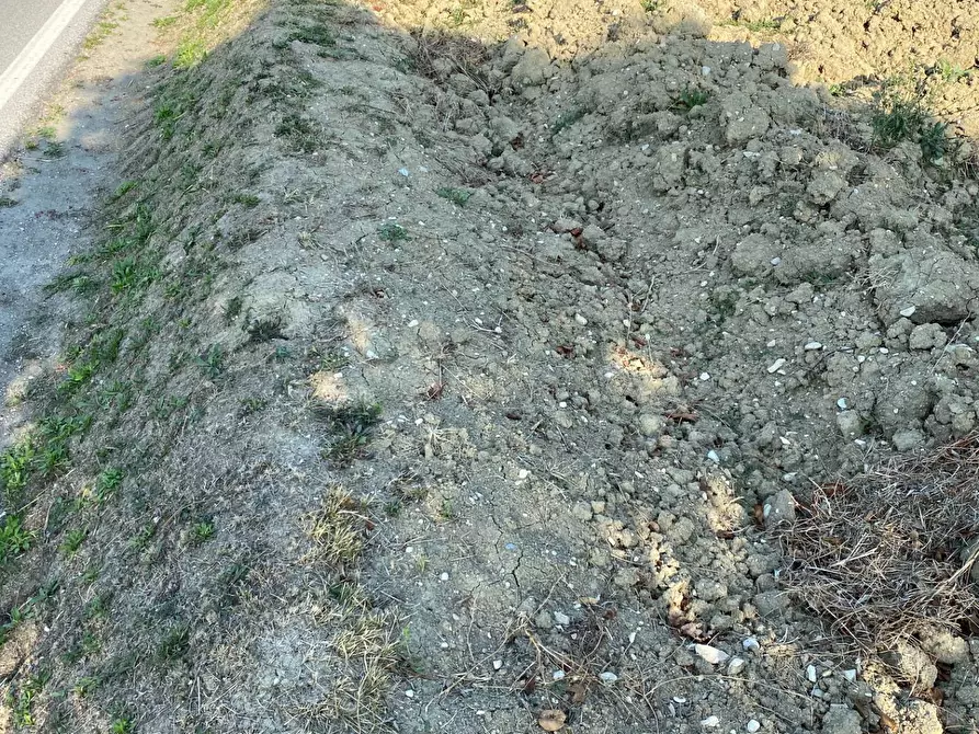 Immagine 11 di Terreno agricolo in vendita  in Via Faleriense a Monte a Falerone