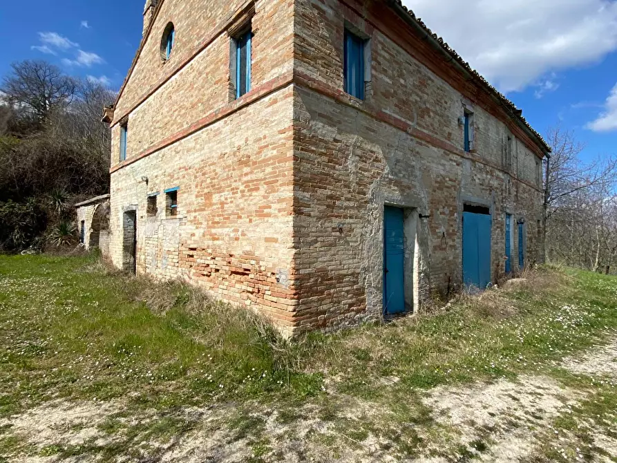 Immagine 2 di Casa indipendente in vendita  in contrada Fonte Magna a Montottone