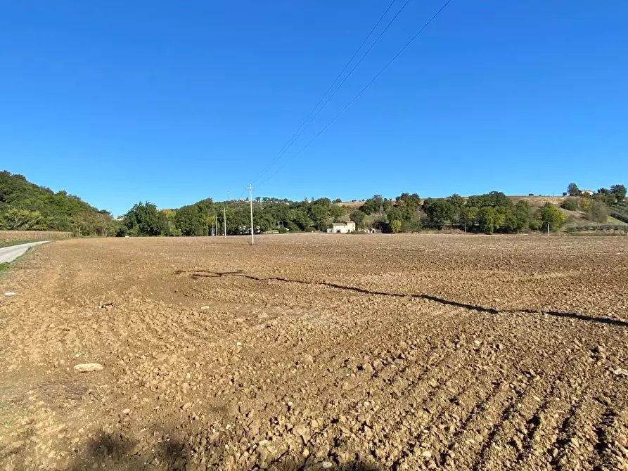 Immagine 10 di Casa indipendente in vendita  in santa croce a Montegiorgio
