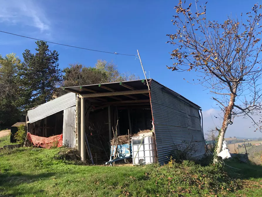 Immagine 6 di Casa semindipendente in vendita  in contrada santa maria a Montelparo
