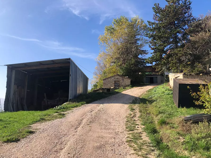 Immagine 3 di Casa semindipendente in vendita  in contrada santa maria a Montelparo