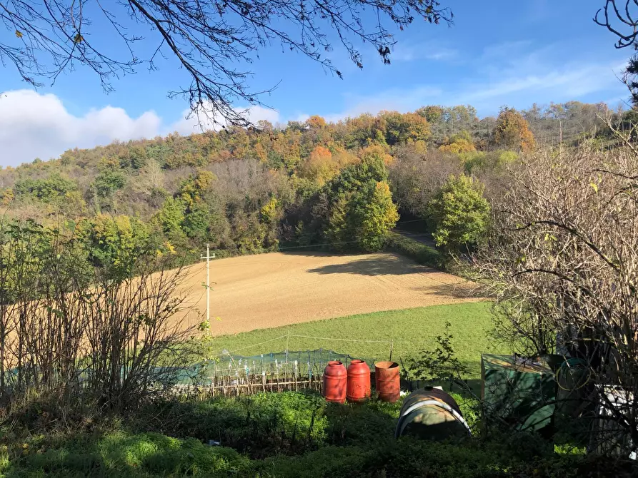 Immagine 19 di Casa semindipendente in vendita  in contrada santa maria a Montelparo
