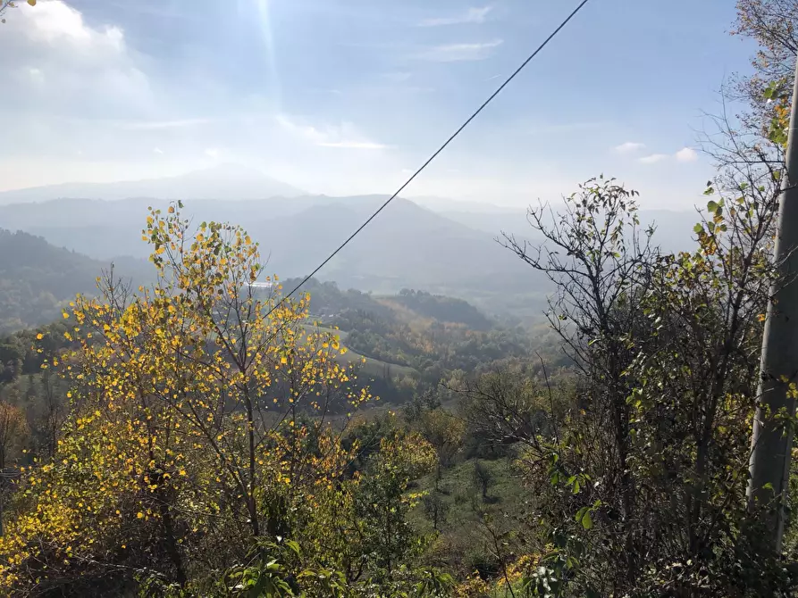 Immagine 21 di Casa semindipendente in vendita  in contrada santa maria a Montelparo