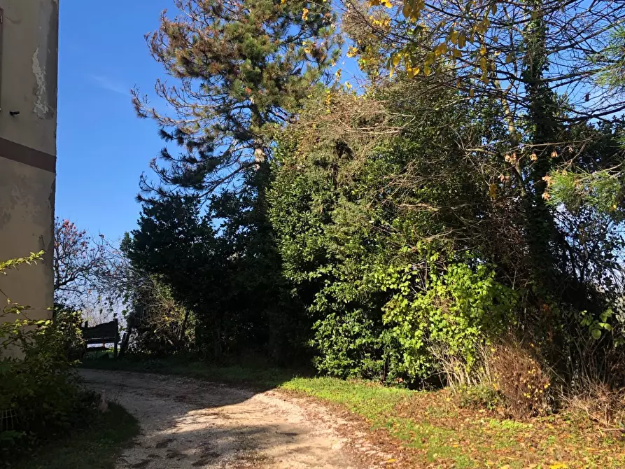 Immagine 18 di Casa semindipendente in vendita  in contrada santa maria a Montelparo