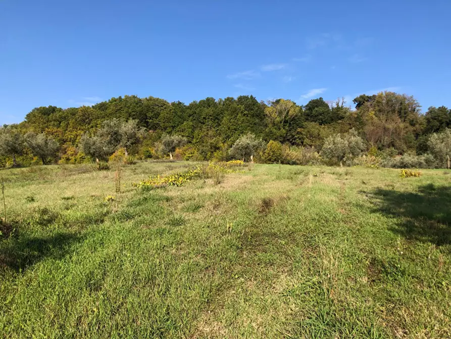 Immagine 23 di Casa indipendente in vendita  in strada provinciale a Falerone
