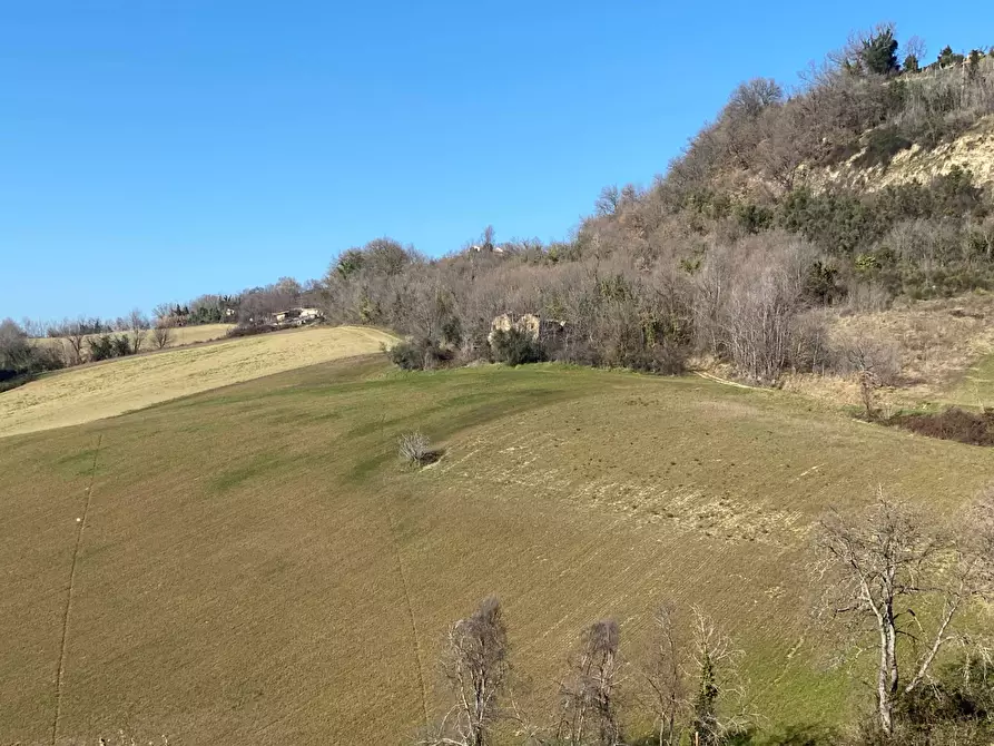 Immagine 3 di Casa indipendente in vendita  in contrada Monte Verde a Montegiorgio
