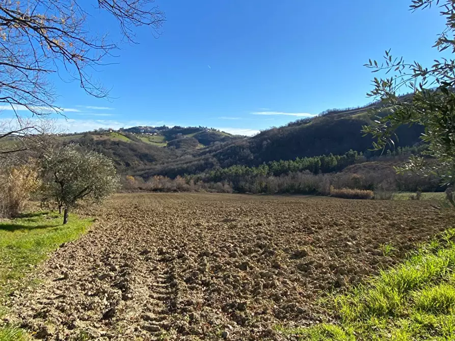 Immagine 10 di Casa indipendente in vendita  in contrada Monte Verde a Montegiorgio