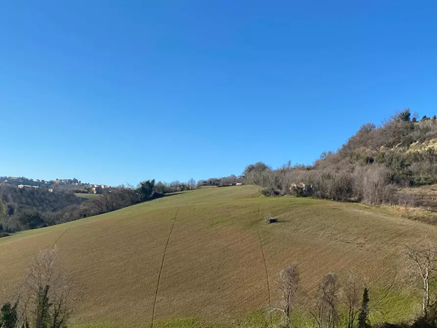 Immagine 2 di Casa indipendente in vendita  in contrada Monte Verde a Montegiorgio
