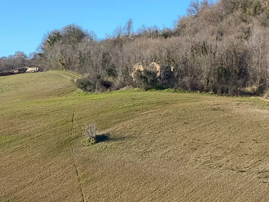 Immagine 4 di Casa indipendente in vendita  in contrada Monte Verde a Montegiorgio