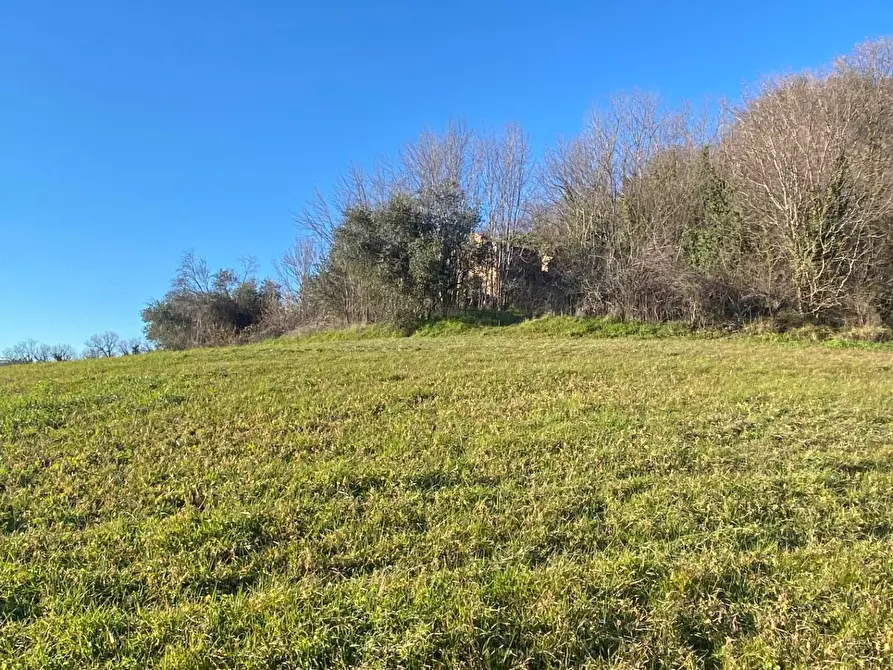 Immagine 12 di Casa indipendente in vendita  in contrada Monte Verde a Montegiorgio