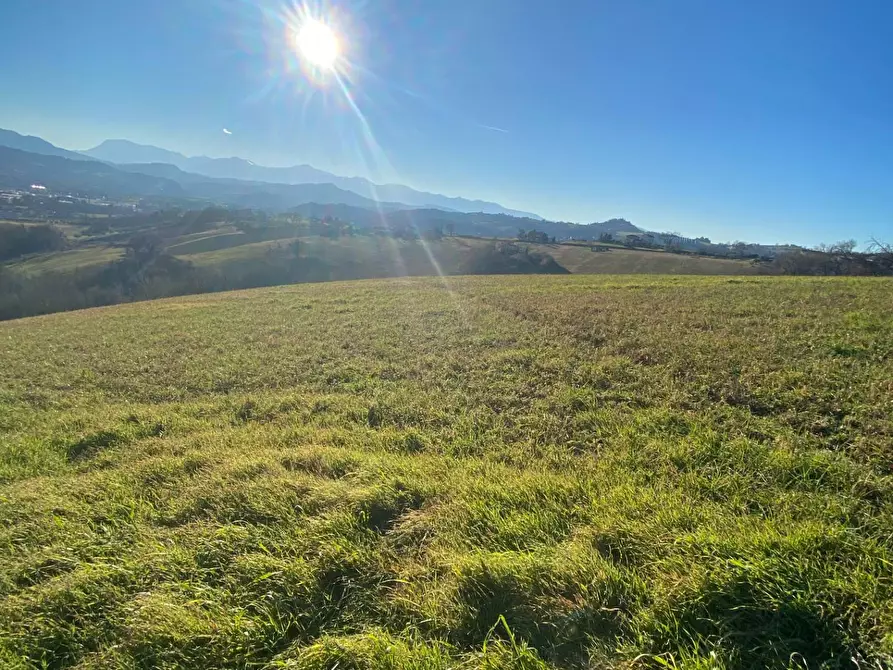 Immagine 13 di Casa indipendente in vendita  in contrada Monte Verde a Montegiorgio