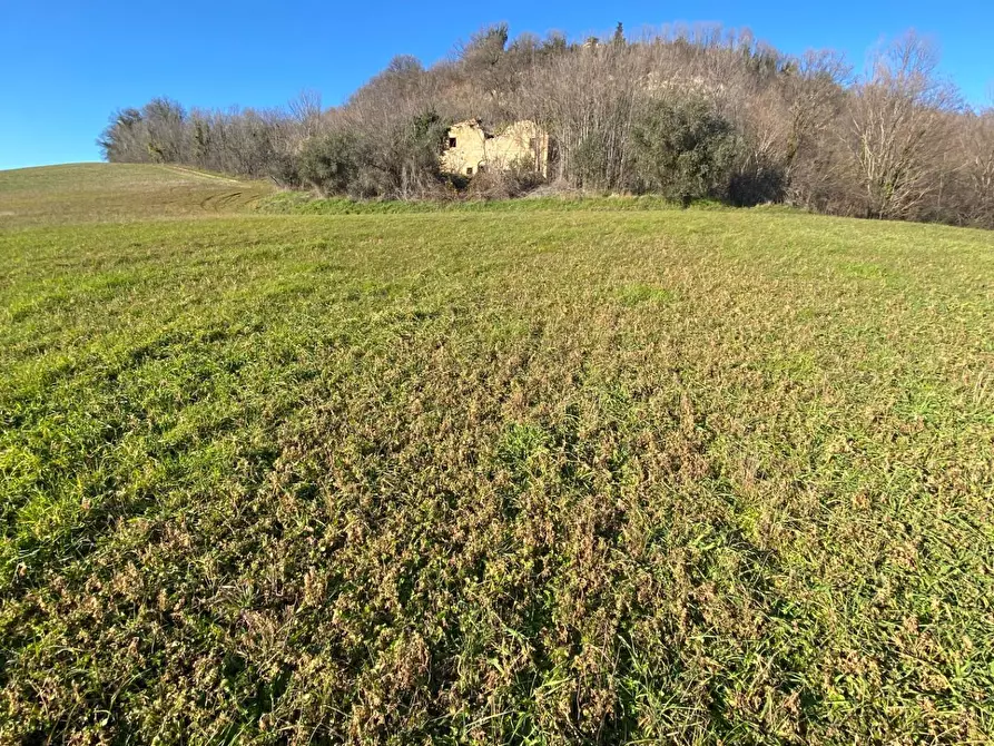 Immagine 14 di Casa indipendente in vendita  in contrada Monte Verde a Montegiorgio