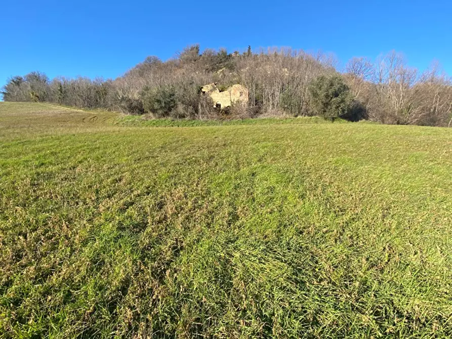 Immagine 15 di Casa indipendente in vendita  in contrada Monte Verde a Montegiorgio