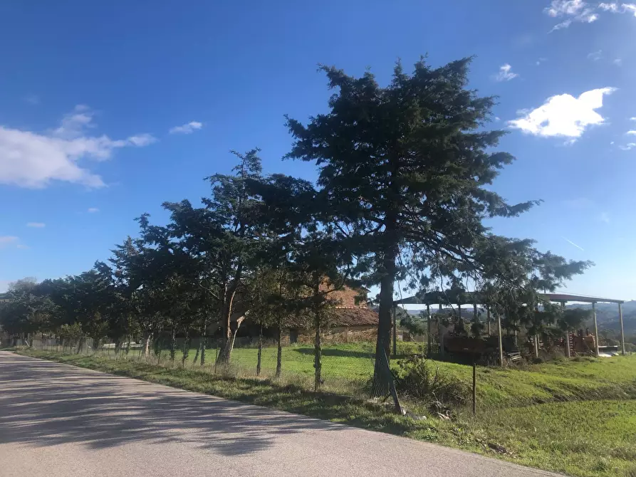 Immagine 20 di Casa indipendente in vendita  in contrada vignali bagnare a Loro Piceno