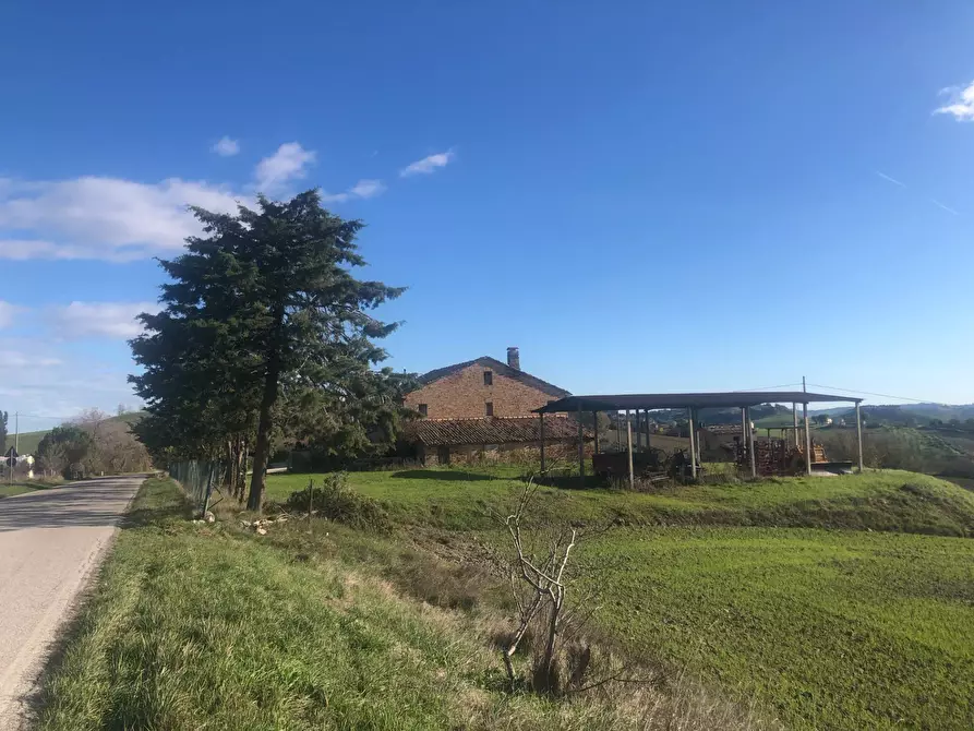 Immagine 22 di Casa indipendente in vendita  in contrada vignali bagnare a Loro Piceno